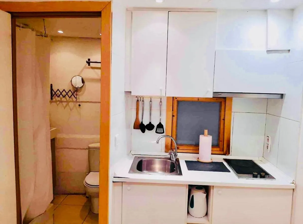 06 Duplex Loft Apartment Barcelona Spain
